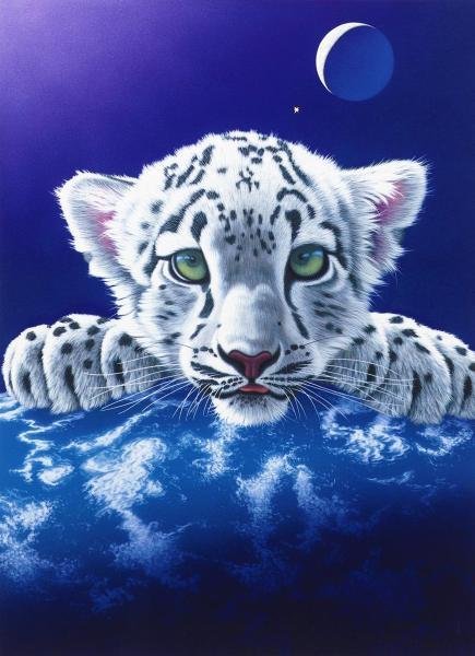 真作 WISH シム シメール SCHIM SCHIMMEL シルクスクリーン 20号 大作