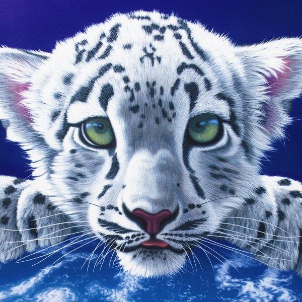 真作 WISH シム シメール SCHIM SCHIMMEL シルクスクリーン 20号 大作