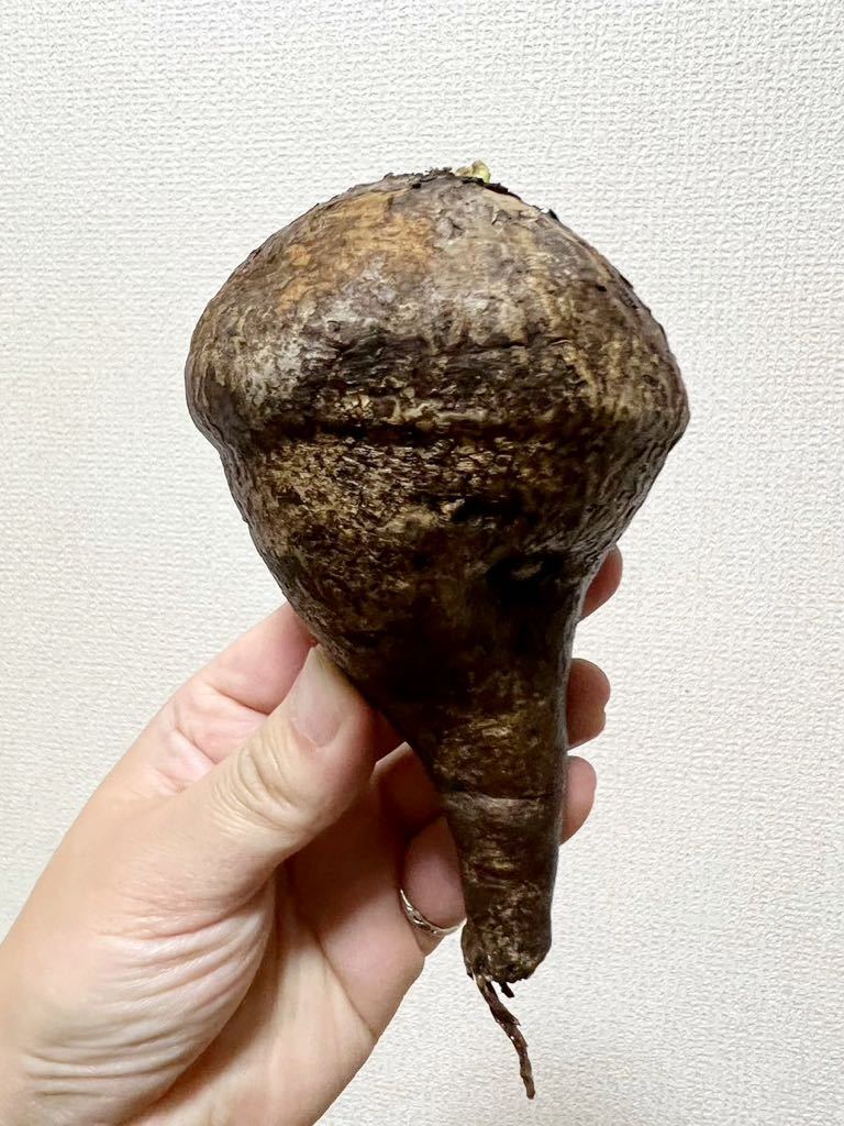 DAKINE⁄ダカイン メンズ GORE-TEX ミトングローブ SATURN 323 【美良品