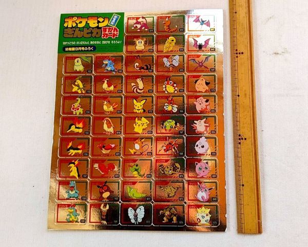 ふろく 幼稚園9月号 ポケモン ポケットモンスター ぎんピカずかん