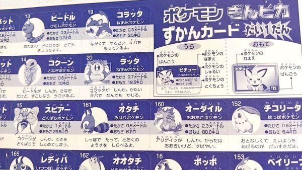 ふろく 幼稚園9月号 ポケモン ポケットモンスター ぎんピカずかん