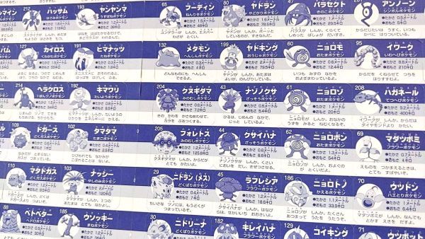 ふろく 幼稚園9月号 ポケモン ポケットモンスター ぎんピカずかん