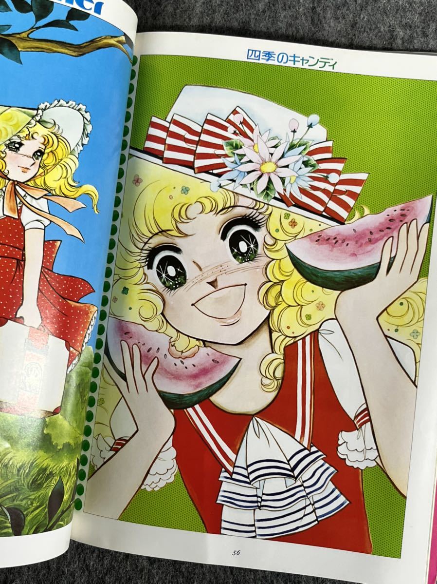 イラスト集 なかよしデラックスアルバム キャンディキャンディ