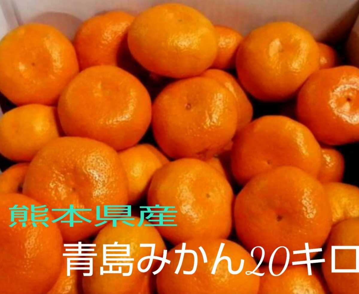 熊本県産青島みかん20kg☆