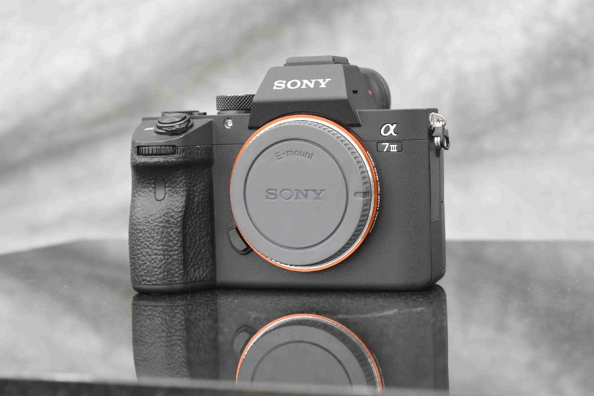 ここがスゴイ！】A7SIIIとA7IIIの決定的な違い！A7SIII使ってみての
