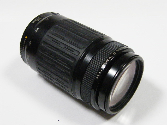Canon EF 75-300mm III Lens f⁄4-5.6 USM - Zoom f⁄4.0-5.6