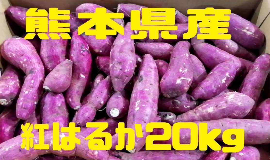 熊本県産紅はるか20kg☆ 熊本県産さつまいも 紅はるか 自然栽培 【公式