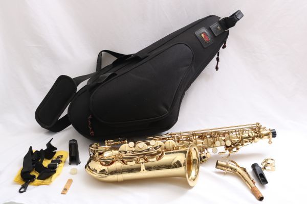 【極美品】MAXTONE アルトサックス ハードケース付き Maxtone®（マック ストーン） アルトサックス MAXTONE SX-56A マック