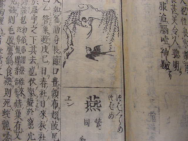 江戸時代の鳥類図鑑 正徳3年版 和漢三才図会 2冊一括 絵入り全75図絵本