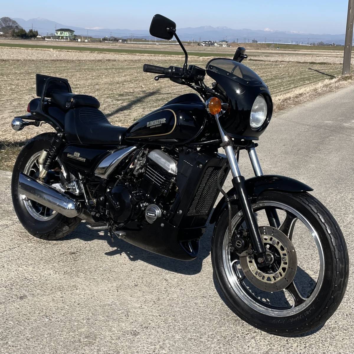 カワサキ エリミネーター250SE 人気 好調 ホンダヤマハスズキ検)CB DT  