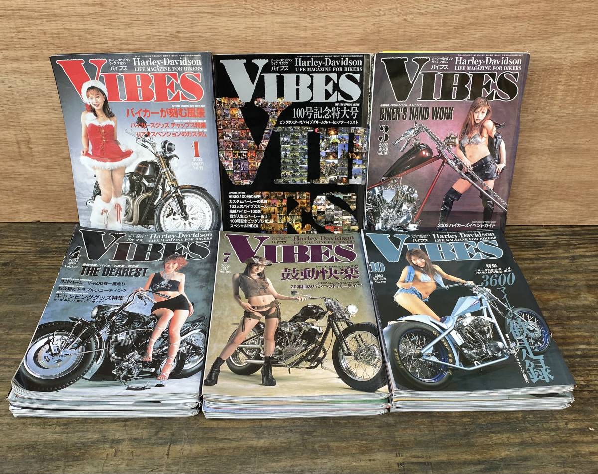 VIBES (バイブズ) バイブス | - ハーレーダビッドソン WEB｜VIBES 2021