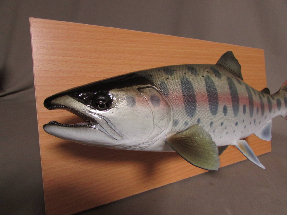 ○ハンドメイド 自作 39cmヤマメ 壁掛け フィギュア レプリカ 模型