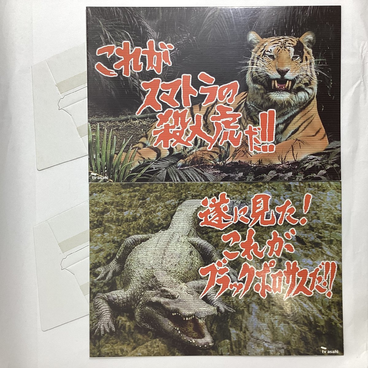 1円スタート 水曜スペシャル 川口浩探検シリーズ DVD-BOX特別限定特典 