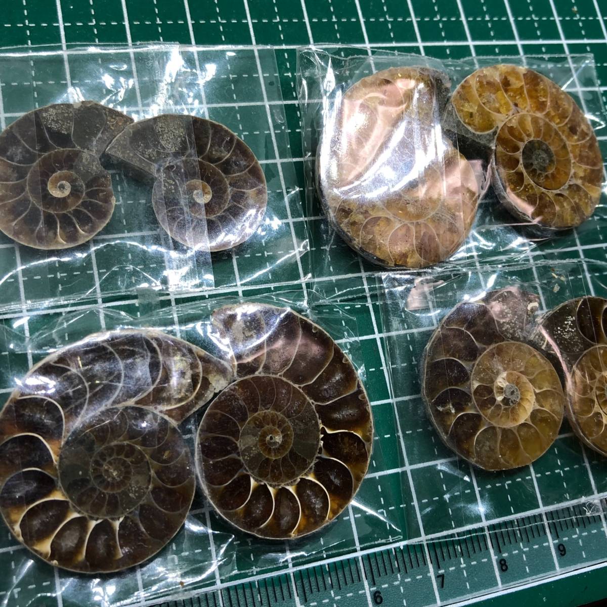 化石 アンモナイト スライス 4ペア(8個) 科学、自然 アンティーク