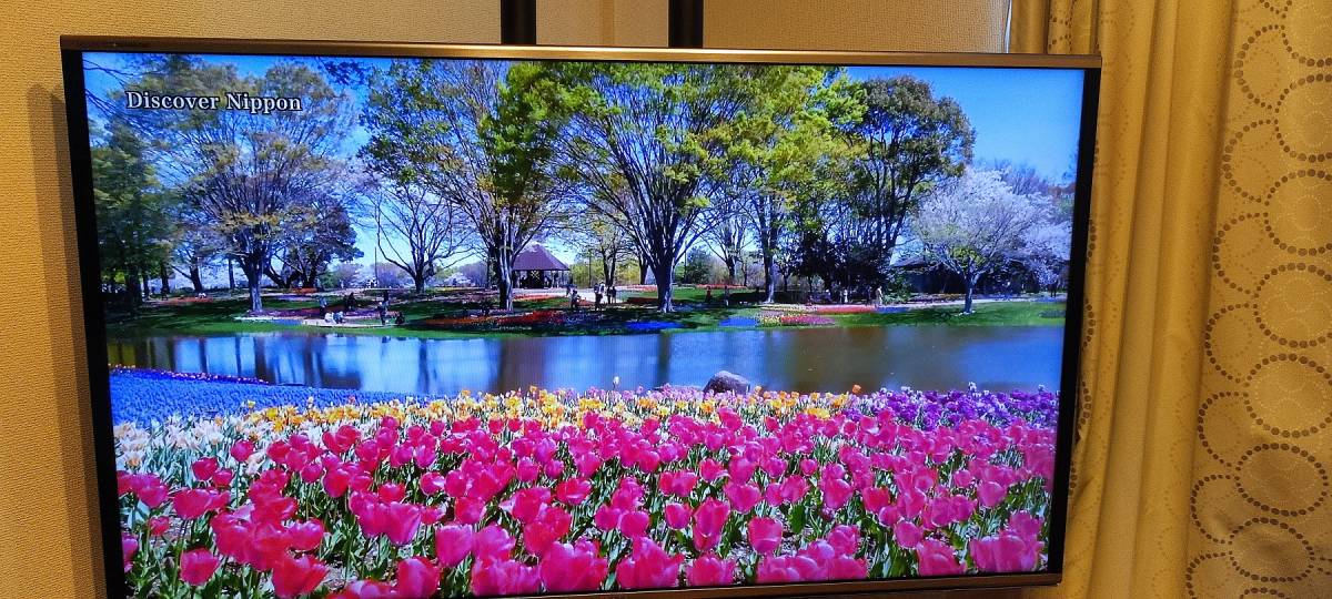 SHARP LC-60G9 65型 テレビ2013年製 - 液晶テレビ