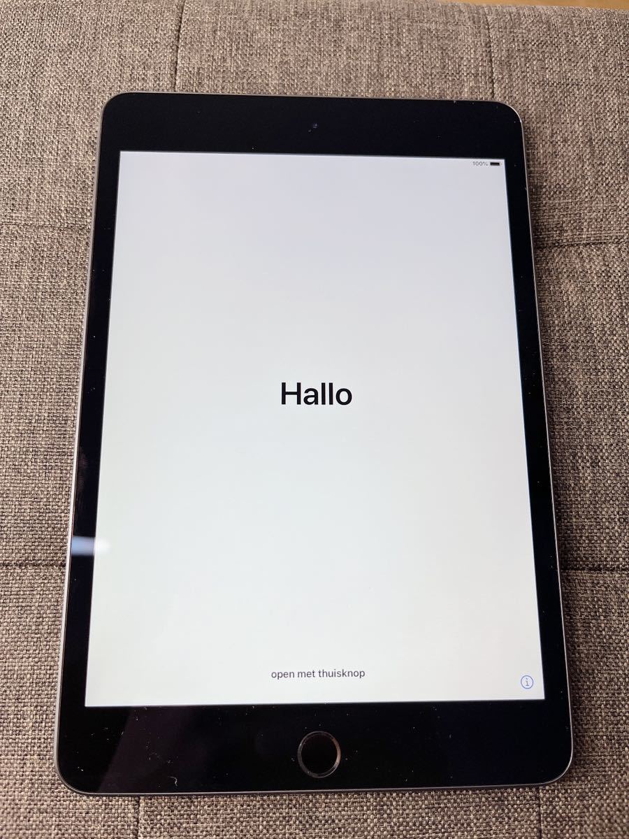 iPad mini 7.9 インチ 第5世代 - 2019 - Wi-Fi - 64 GB - スペース