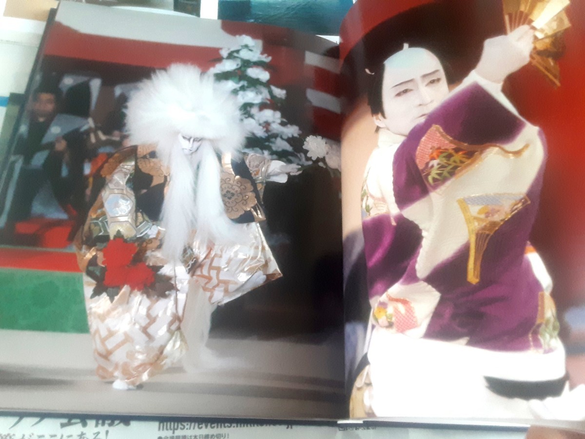 十五代目片岡仁左衛門写真集小学舘+片岡孝夫の軌跡淡交社2冊まとめて