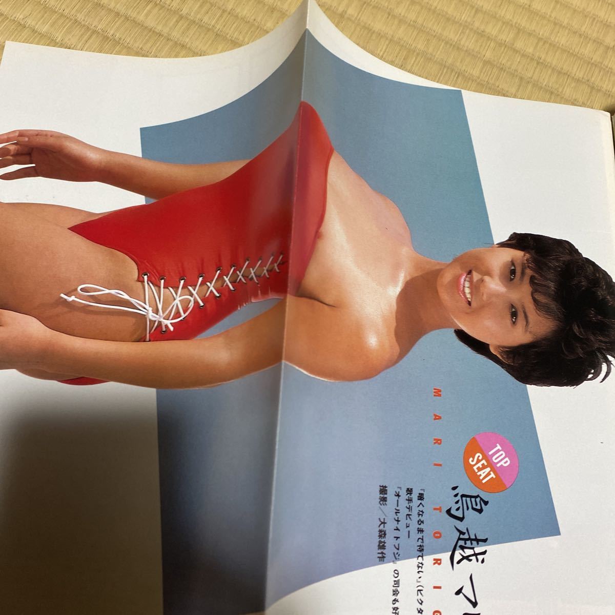 週刊プレイボーイ 1984 昭和59年6月19日 no.26(アイドル、芸能人