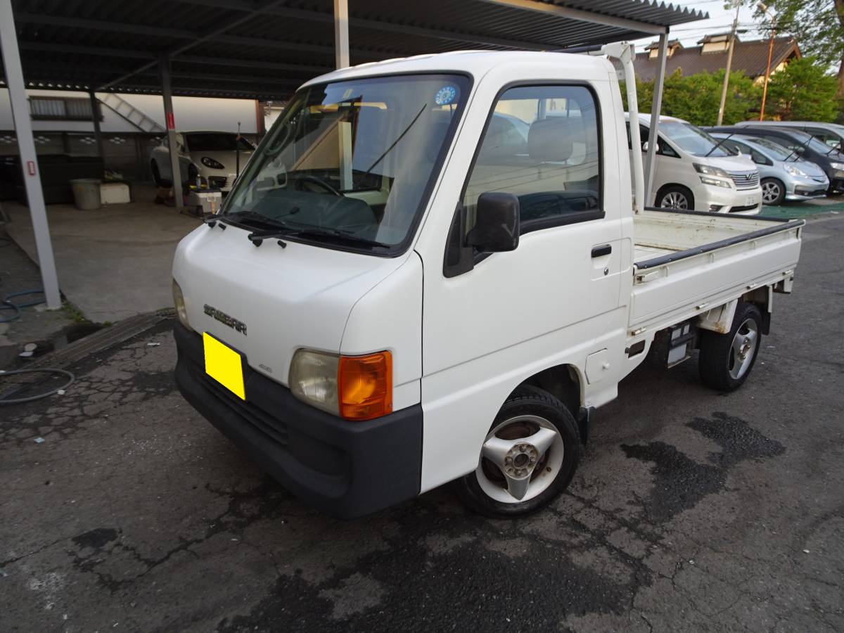 写真の帯のみ ディオネア・マスキプラ 斑入りC 9cm鉢 □カクタス長田 | TINTAUNITA.COM