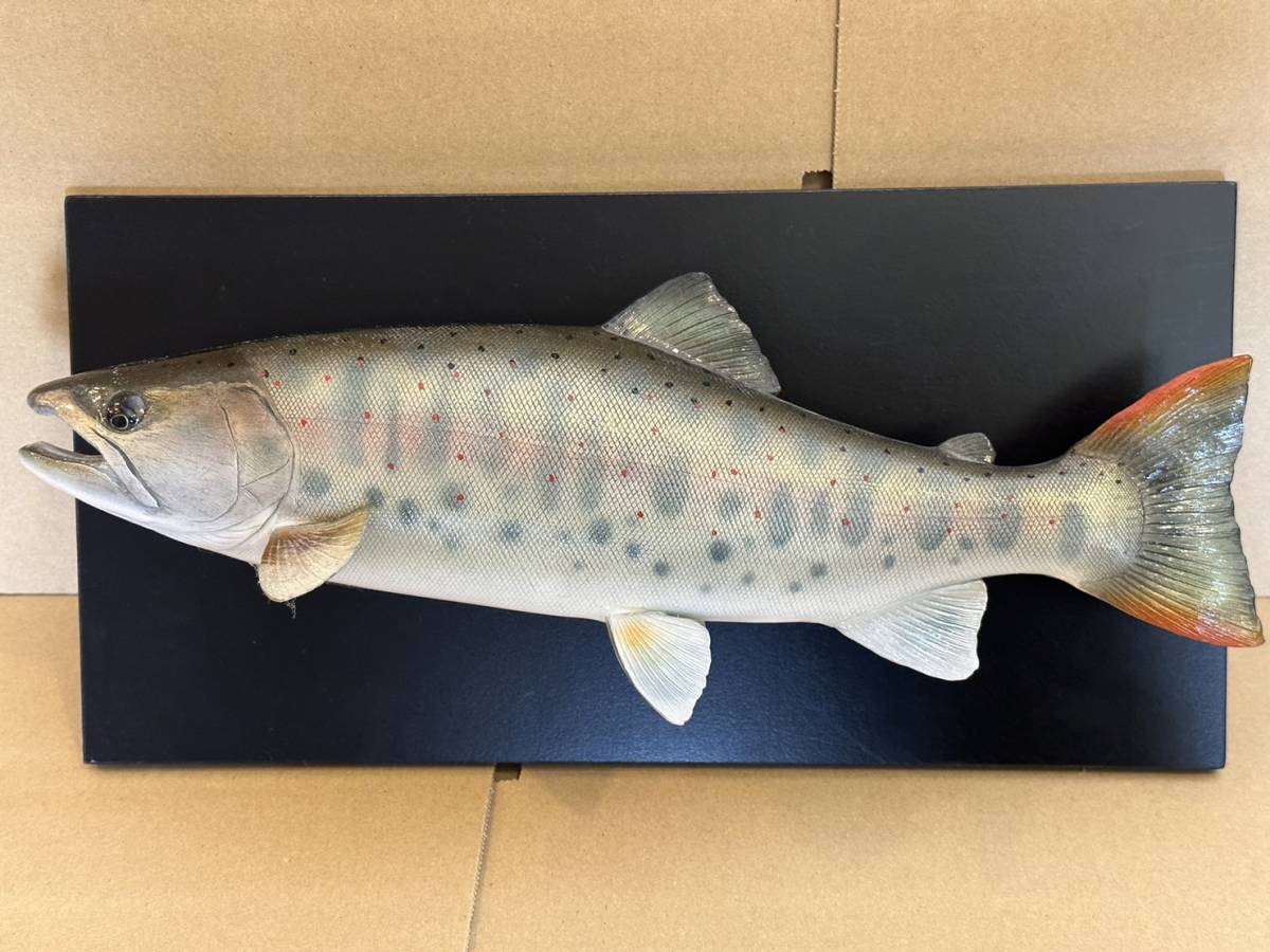 ○ハンドメイド 手作り 46cmイトウ壁掛け 魚模型 フィギュア