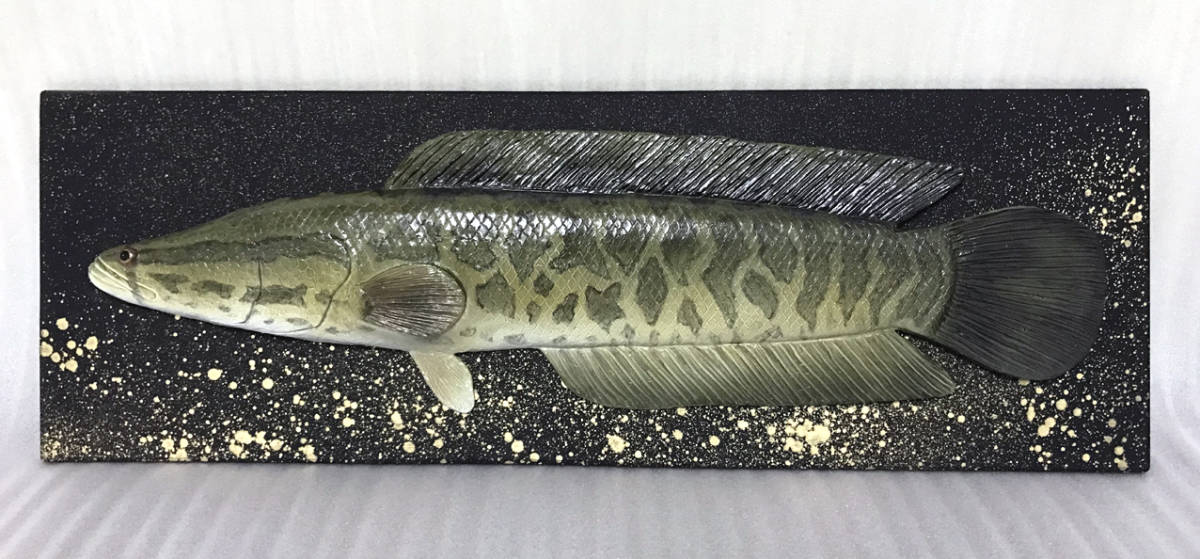 ライギョ 雷魚（カムルチー） 大 レリーフ壁掛け （ハンドメイド