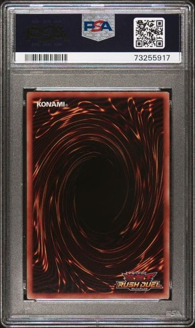 PSA10 ブラック マジシャン ガール RD/DD02-JP004 シークレット 遊戯王 