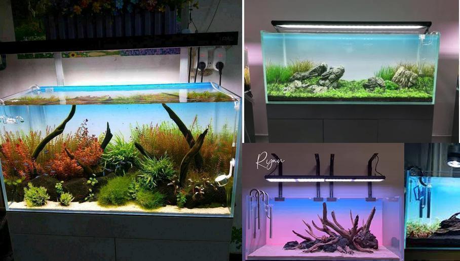 魚用品・水草 WRGB ライトスクリーン 30cm×30cm 水槽 スクリーンライト