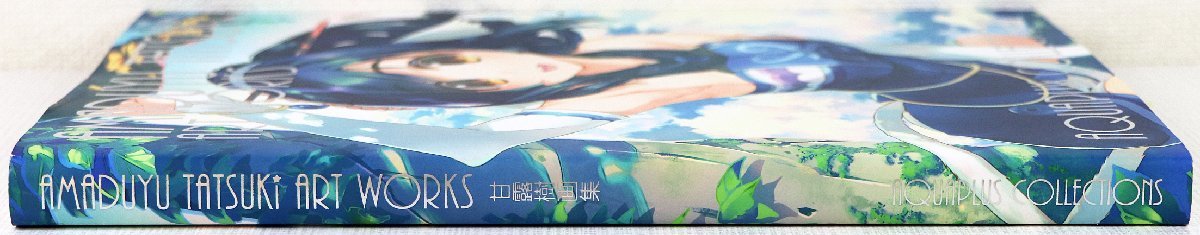 P 品 画集 AMADUYU TATSUKI WORKS AQUAPLUS COLLECTIONS 甘露樹画集 