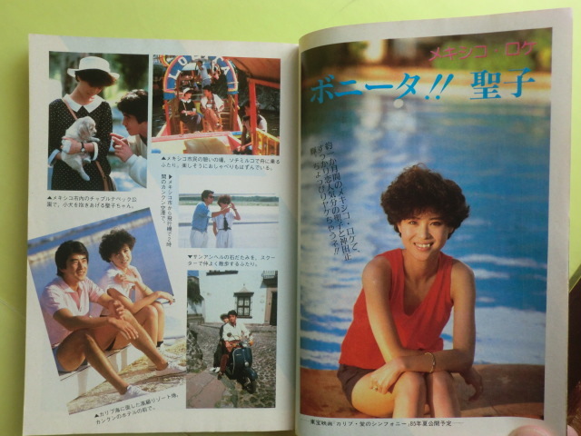 T&Eマガジン欠けありおまけつき （ピンナップ付き】ジャニーズJr. HiHi 