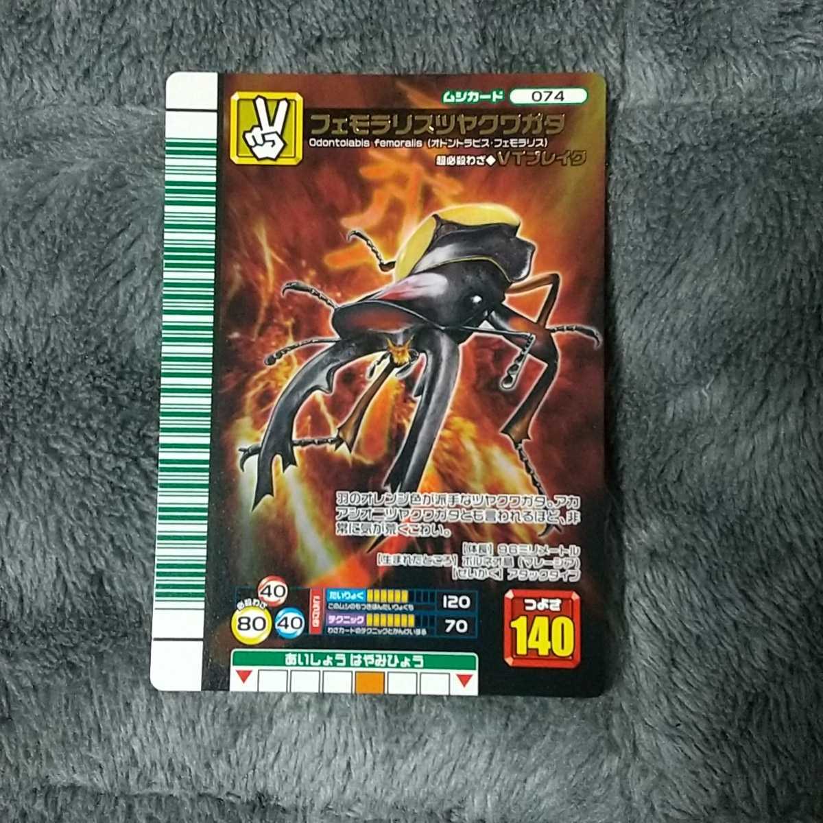 ☆甲虫王者ムシキング 2007 ファースト フェモラリスツヤクワガタ