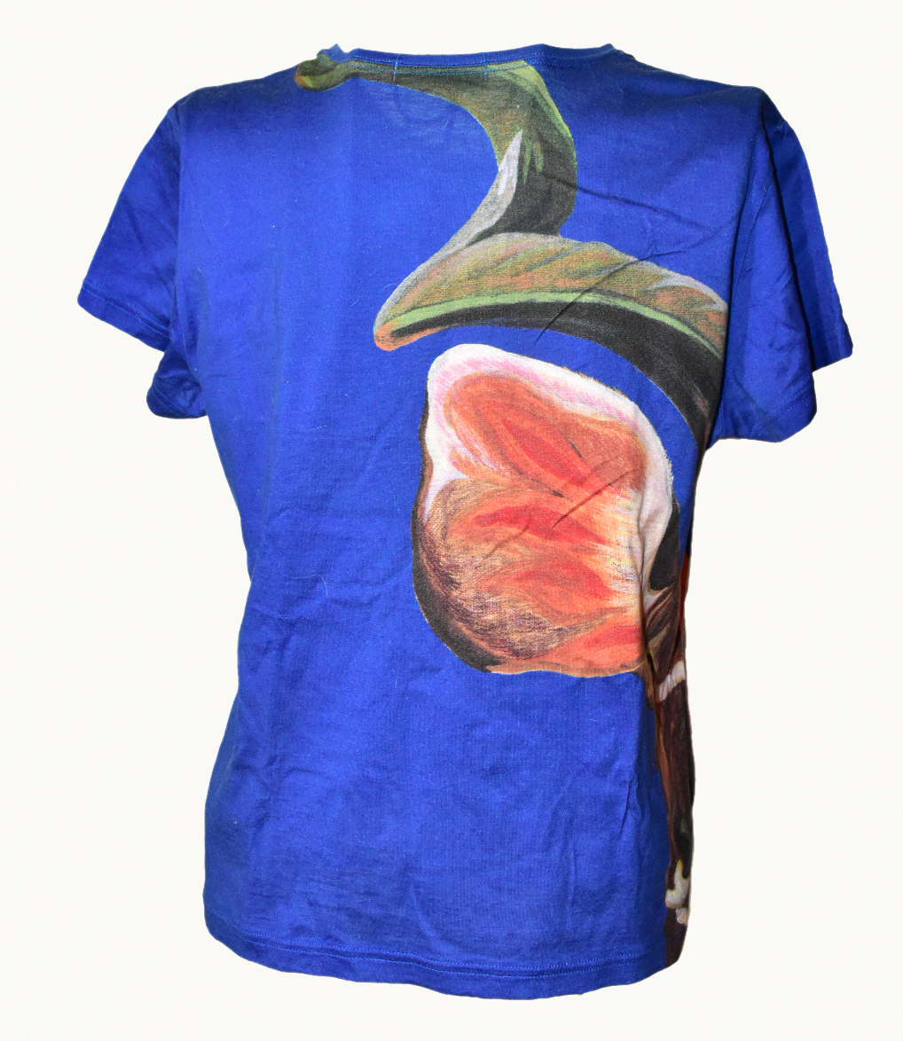 AF☆PLEATS PLEASE ISSEY MIYAKE トップス 半袖 ブルーの鳥デザイン柄 