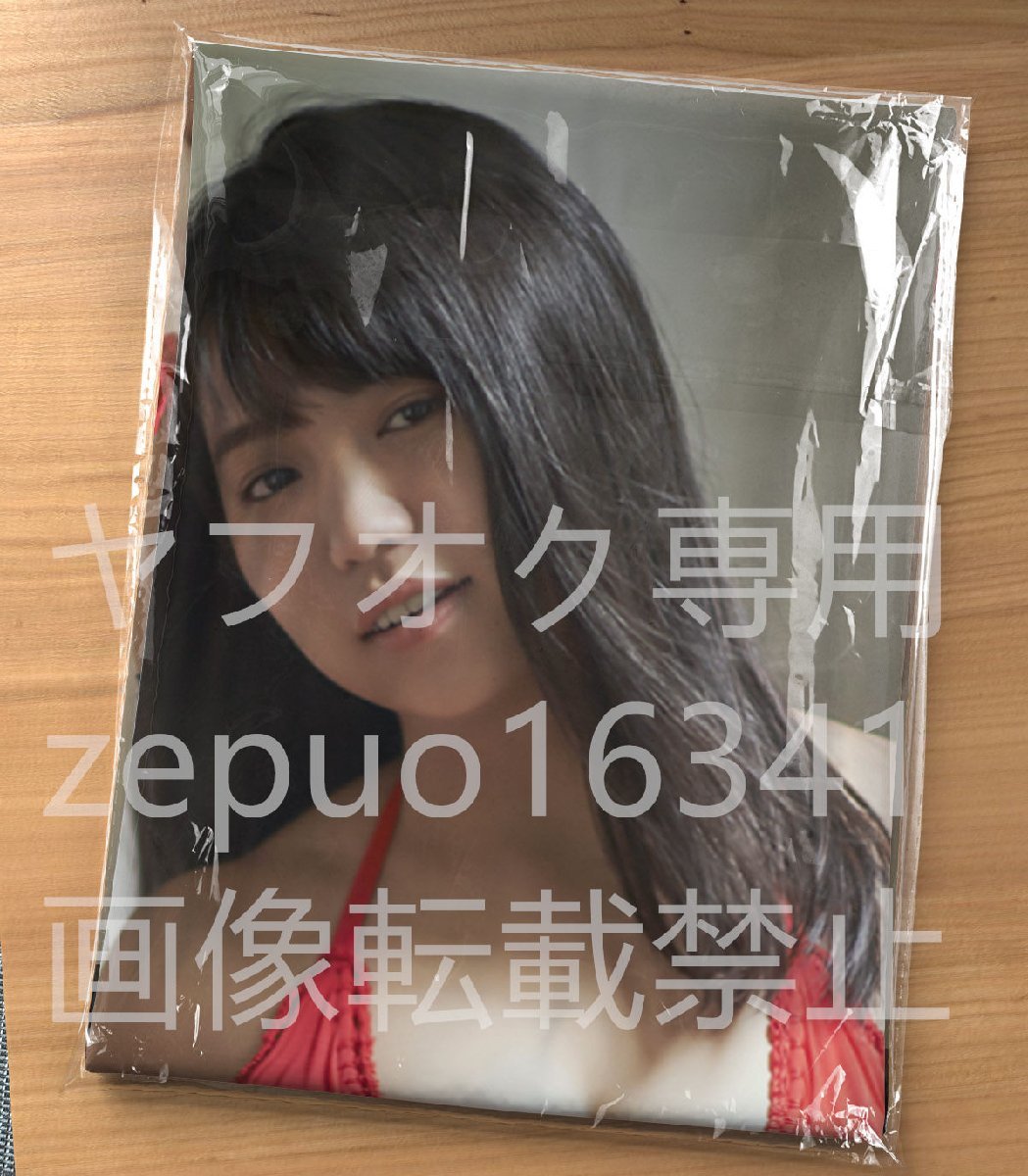 小宮有紗大原優乃/抱き枕カバー/90cm×45cm/2wayトリコット(タレント