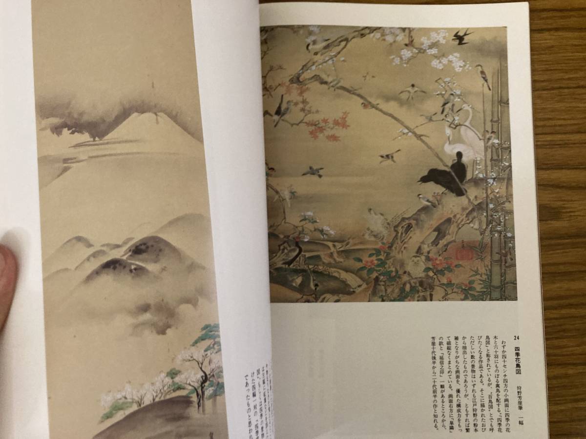 図録 狩野芳崖 没後100年記念：近代日本画の先駆者 特別展覧会 京都 