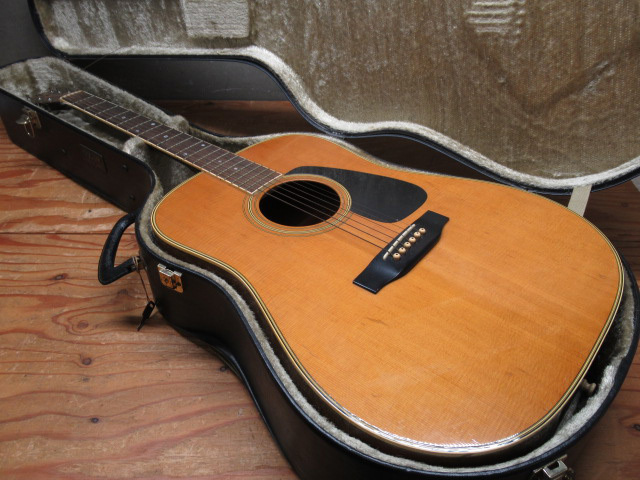 MORRIS MD-505 直接引取希望アコースティックギター Morris MD-505