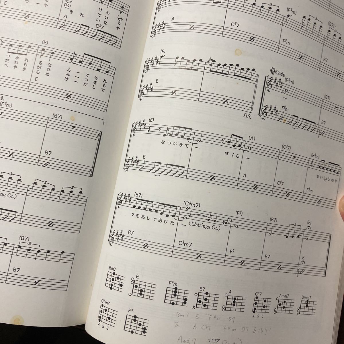 SALE，2026】 真島昌利 ギター弾き語り全曲集 スコア 楽譜