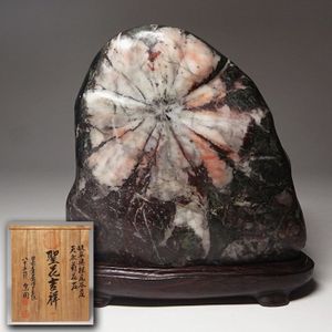 中村硯石園/菊花石【3.5kg】朱瑪瑙/サバ菊/台座付/岐阜県/鑑賞石