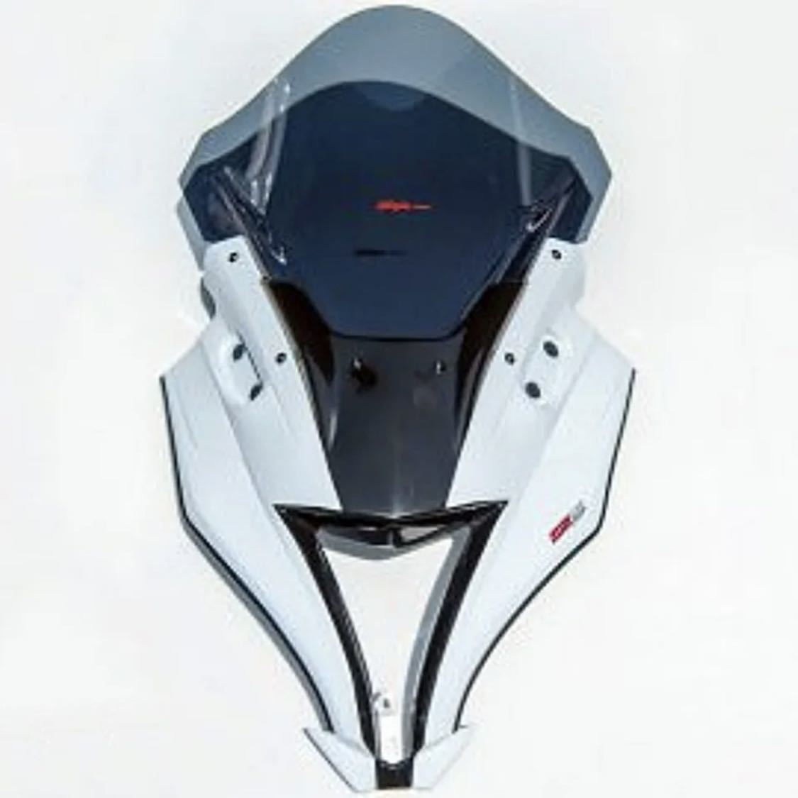 新品 カワサキ ニンジャ Ninja250 ES250 L型 M型 2013〜 ZX-10R風