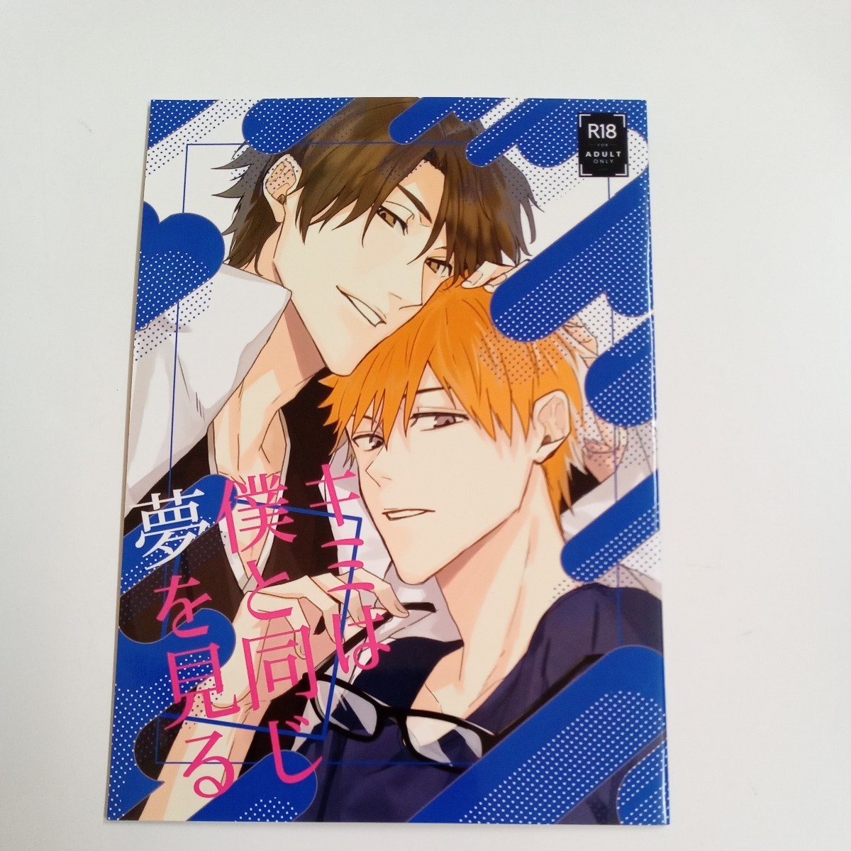 BLEACH 藍一 同人誌 二冊+小冊子 藍染惣右介×黒崎一護 （藍染×一護