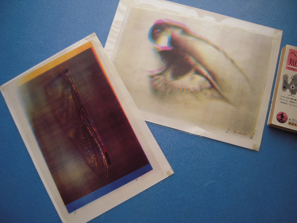 合田佐和子 直筆サイン入り 写真作品 花 合田佐和子 直筆サイン入り