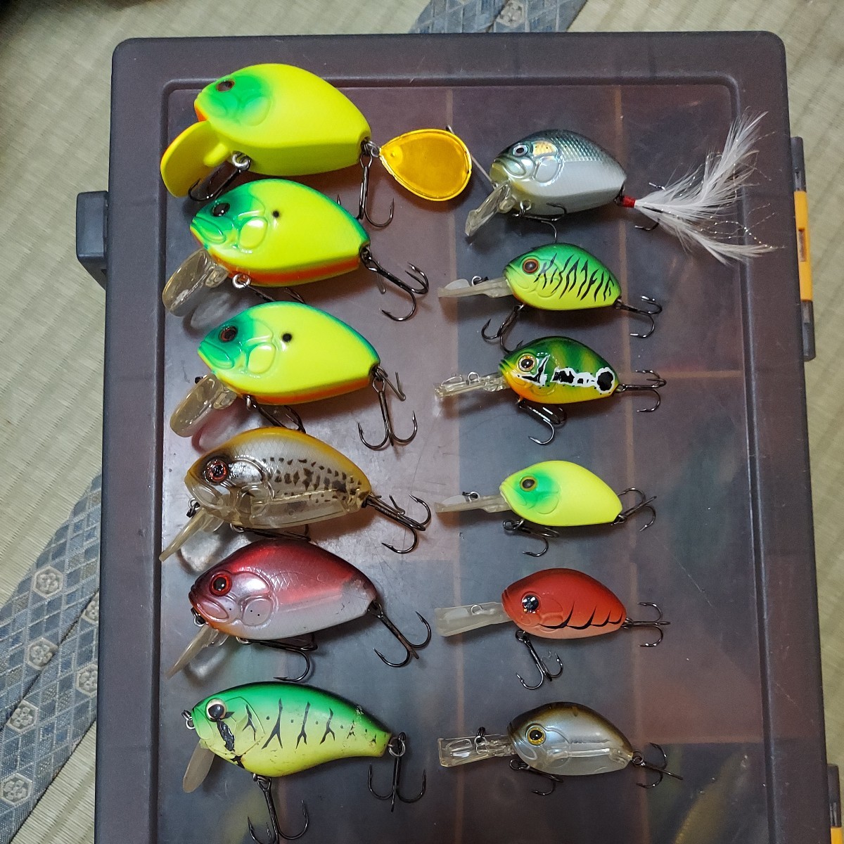 ウッサXSオリカラ4個 ロデオクラフト 公式通販 ロデオクラフト ウッサ