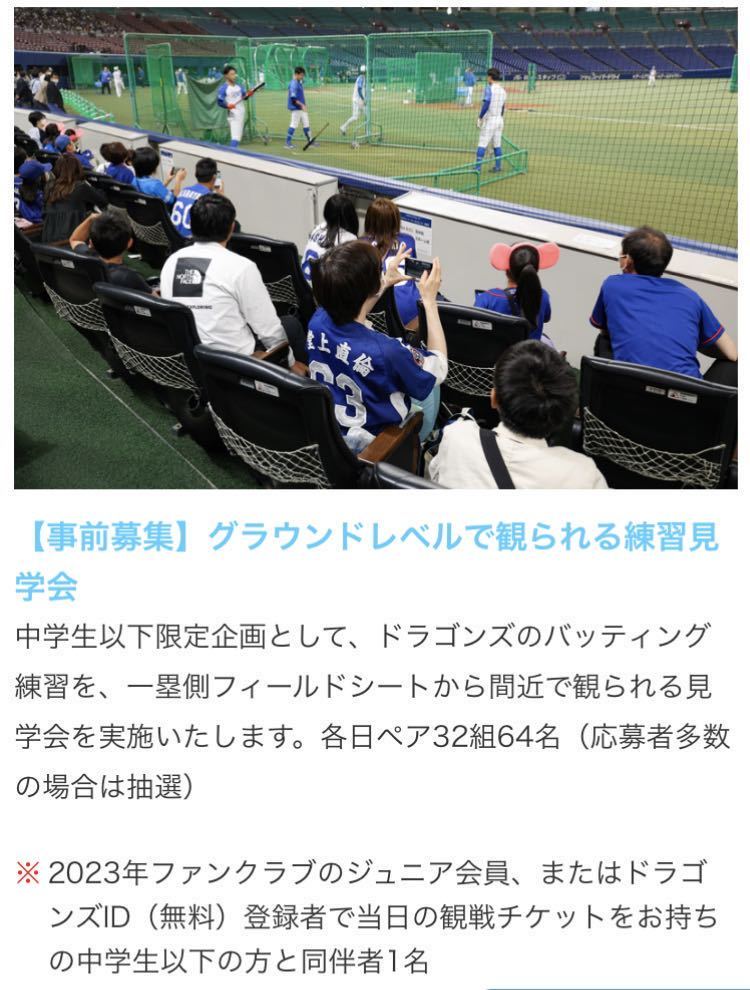東京ヤクルトスワローズ vs. 中日 試合情報 中日ドラゴンズ 8月2日（火）
