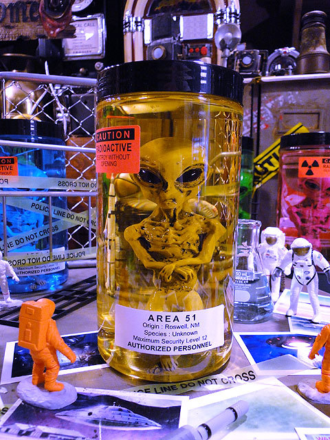エリア51 エイリアンのホルマリン漬け（ブラウンエイリアン）アメリカン雑貨 アメリカ雑貨 世田谷ベース 所さん　本日はダイアンなり