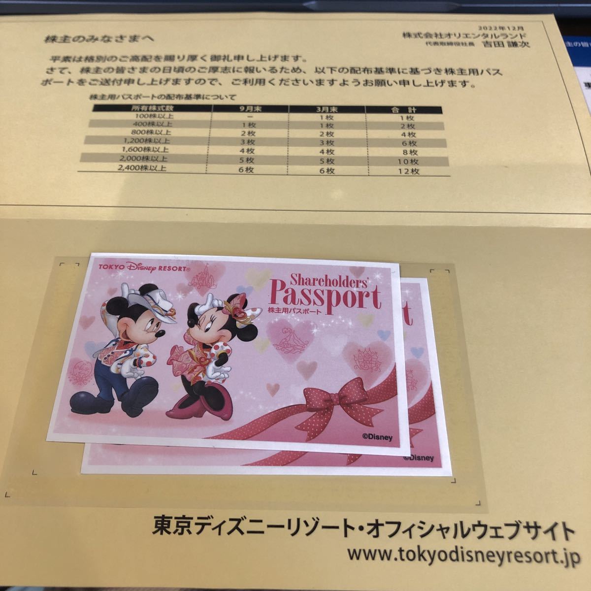 東京ディズニーリゾート株主用パスポート 2枚1組 有効期限：2024年1月  