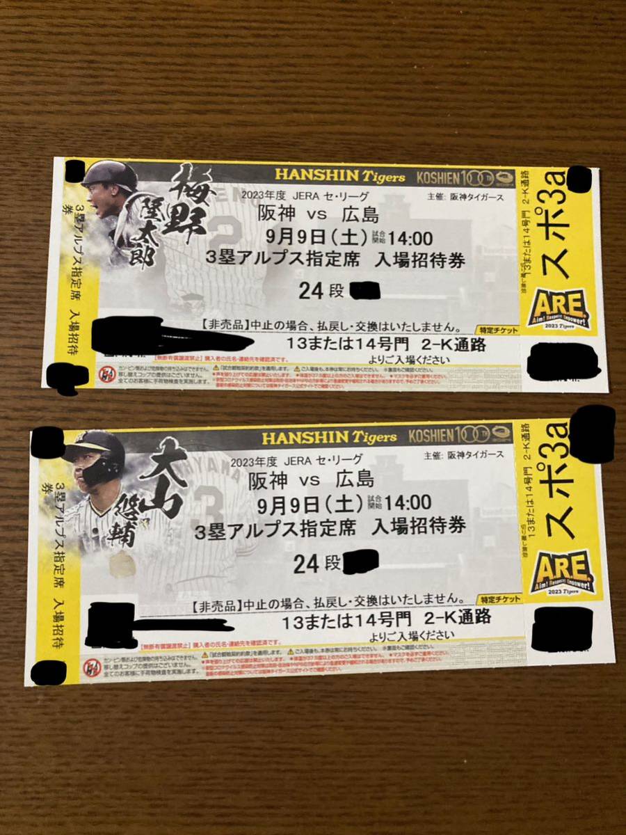阪神VS広島 9月10日 甲子園3塁アルプス席 ペアチケット 阪神VS広島 9月10日 甲子園3塁アルプス席 ペアチケット