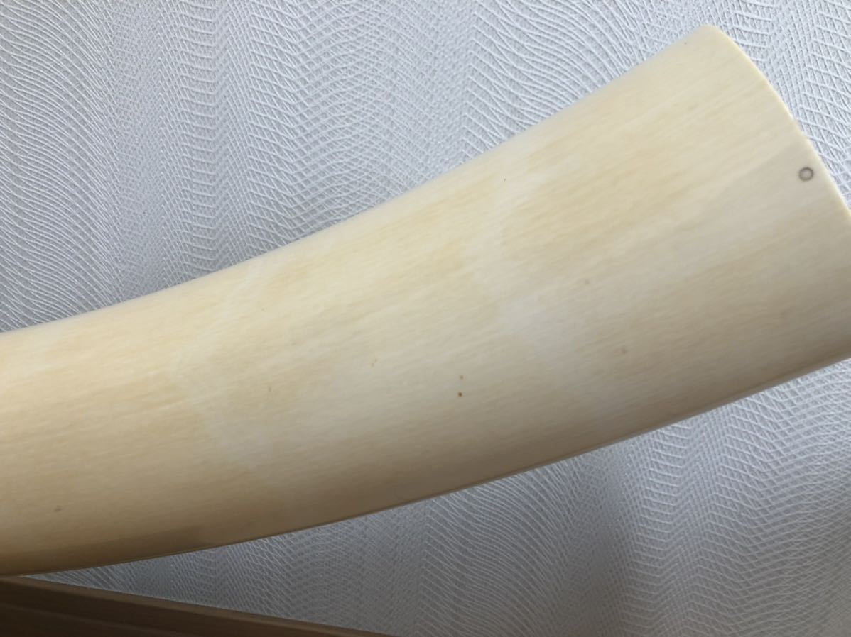 象牙風 一本物 一本牙 - Yahoo!オークション 置物 オブジェ 牙 美品象牙風