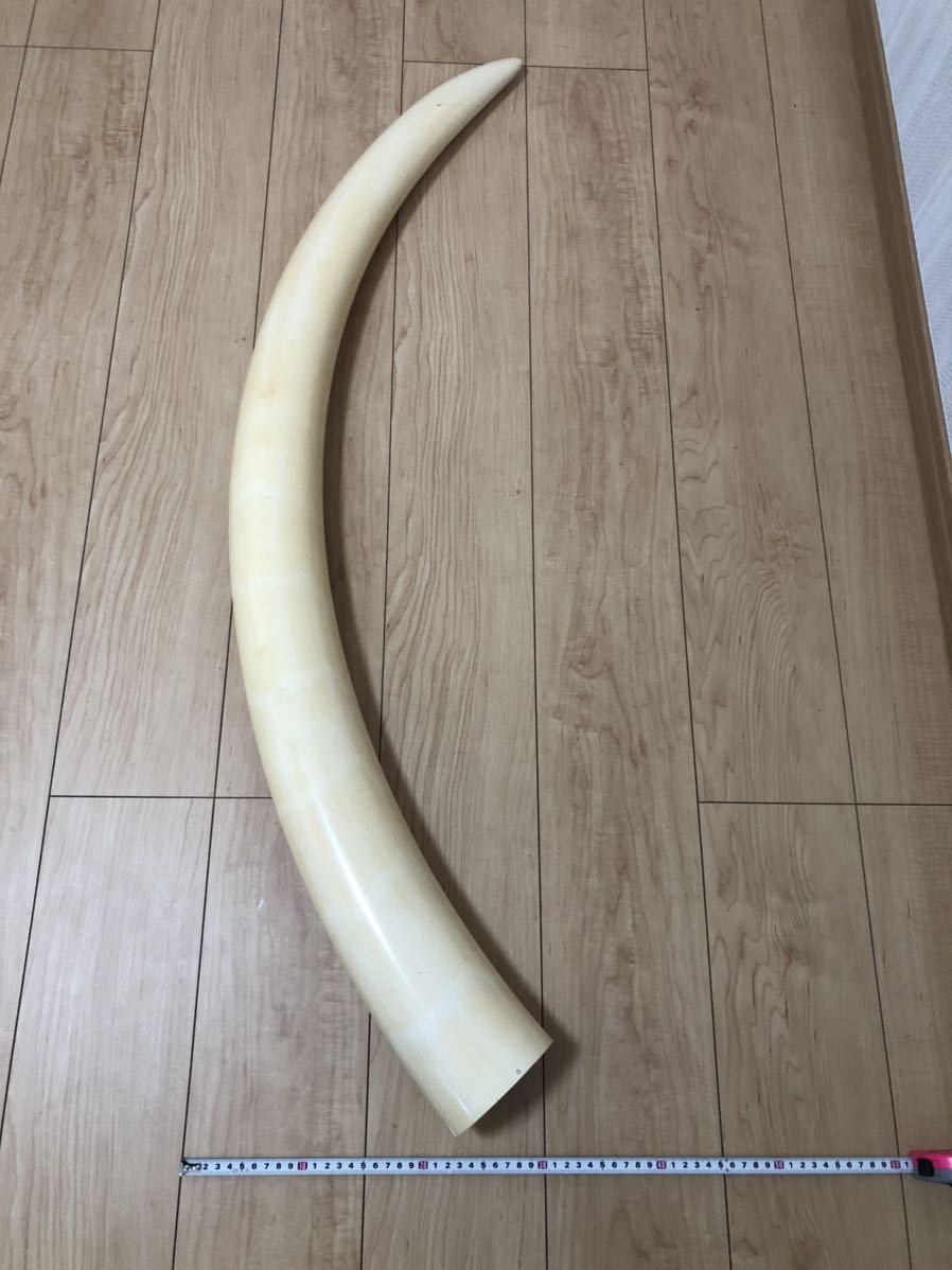 象牙風 一本物 一本牙 - Yahoo!オークション 置物 オブジェ 牙 美品象牙風