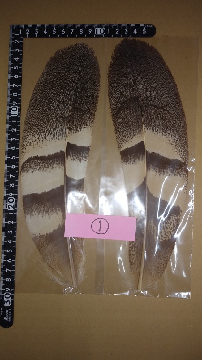 スペックルドバスタード①ペア