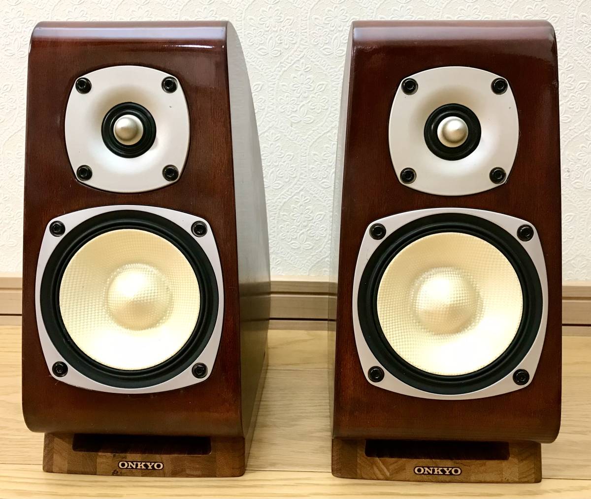 ONKYO : ギターアコースティック・スピーカーシステム （2 