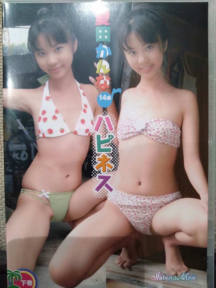 愛田かんな ハピネス 下巻