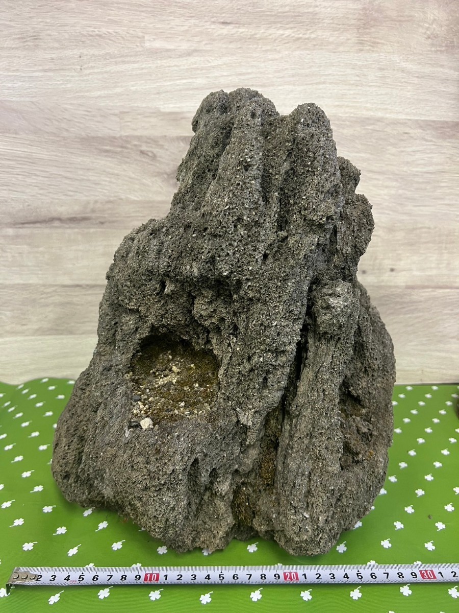 抗火石 軽石 溶岩 付石 自然形 景石 自然石 鑑賞石 苔盆栽
